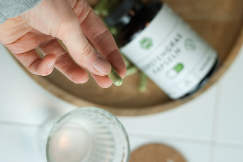 Bio Gerstengras Kapseln - vegan