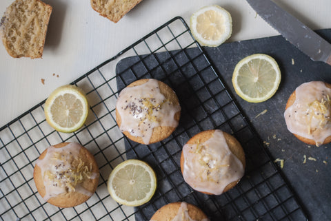 Flohsamenschalen GEMAHLEN BIO