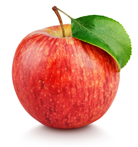 Apfelessig BIO naturtrüb