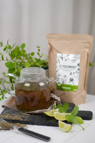 Zistrosenkraut