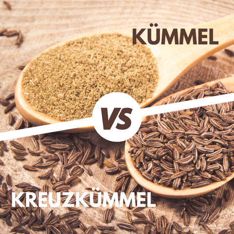 Kümmel und Kreuzkümmel im Vergleich
