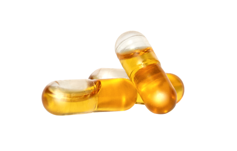 Bio Schwarzkümmelöl Kapseln von bioKontor