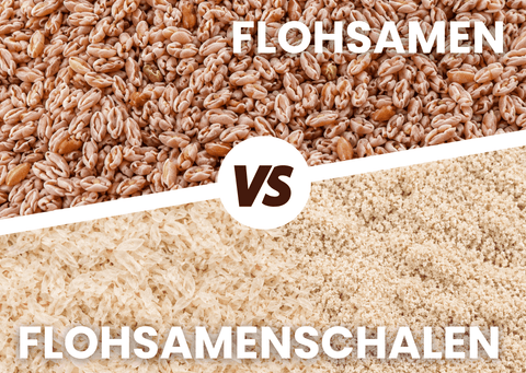 Nahaufnahme von ganzen Flohsamen und Flohsamenschalen gemahlen und ganz