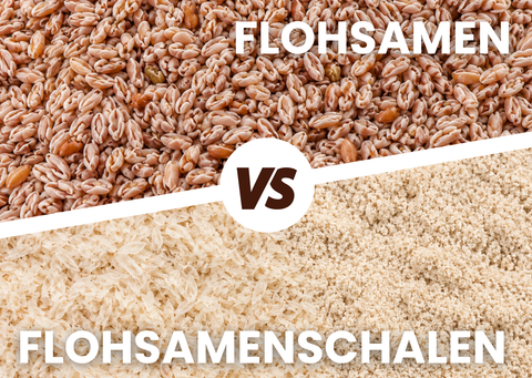 Nahaufnahme von ganzen Flohsamen und Flohsamenschalen gemahlen und ganz