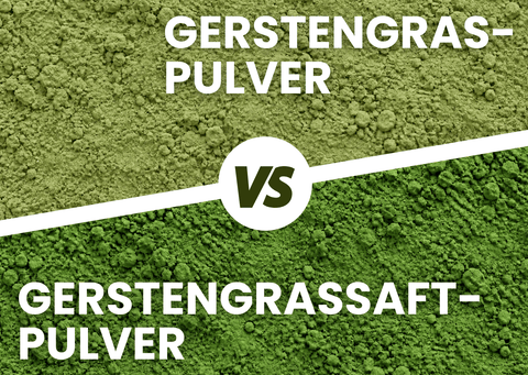 Nahaufnahme Gerstengraspulver und Gerstengrassaftpulver im Vergleich