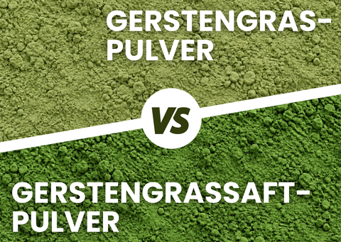 Nahaufnahme Gerstengraspulver und Gerstengrassaftpulver im Vergleich
