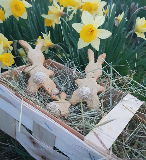 Süße Osterleckerei - Osterhasenplätzchen von bioKontor - bioKontor