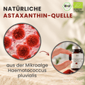 Astaxanthin aus Algen gewonnen, biokontor