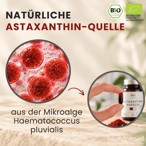Astaxanthin aus Algen gewonnen, biokontor