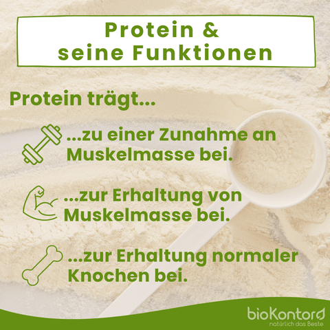 Bio Erbsenprotein Pulver