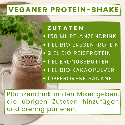 Bio Erbsenprotein Pulver