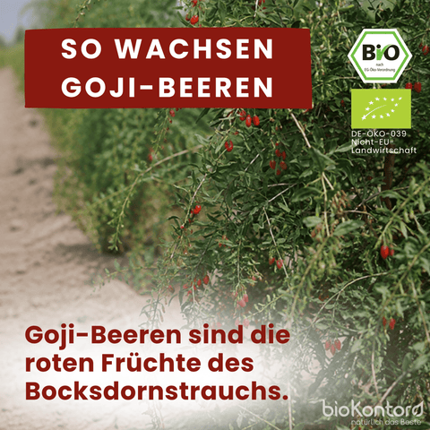Bio Goji Beeren