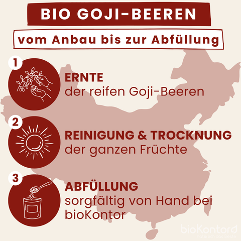 Bio Goji Beeren