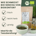 Geschmack des bio Sencha Tees von bioKontor: frisch, fein herb und grasig
