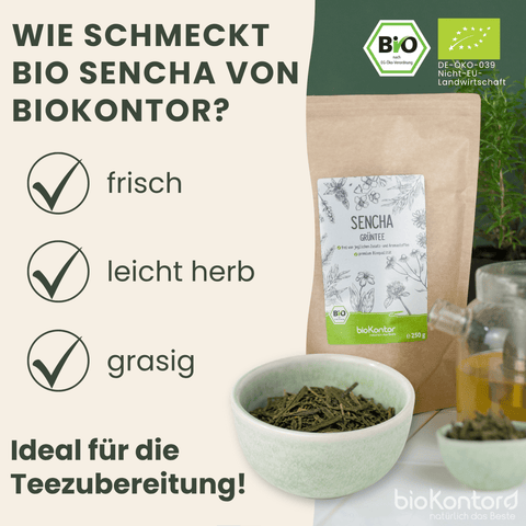Geschmack des bio Sencha Tees von bioKontor: frisch, fein herb und grasig