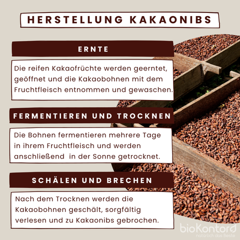 Herstellung von Kakaonibs von bioKontor