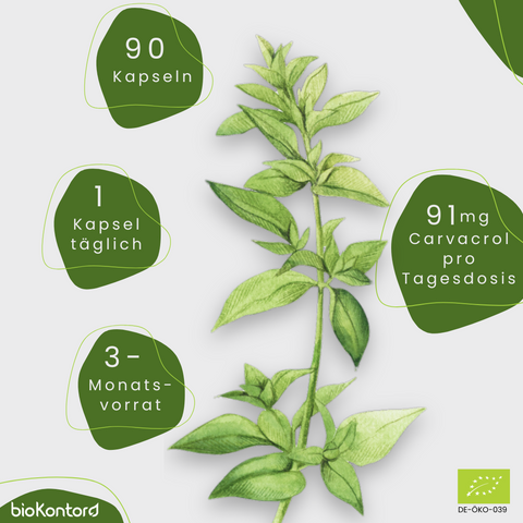 Oregano Öl Kapseln Einnahme und Vorrat