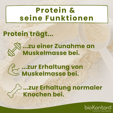 Proteinfunktion erklärt von biokontor