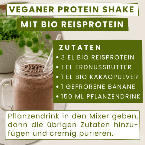 Rezept veganer Proteinshake mit Reisprotein von bioKontor