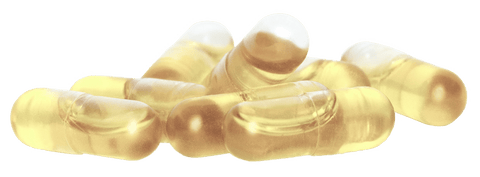 Bio Borretschöl Kapseln - vegan - bioKontor