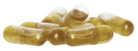 Bio Hanföl Kapseln - vegan - bioKontor