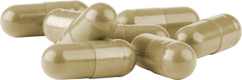 Bio Triphala Kapseln - vegan - bioKontor