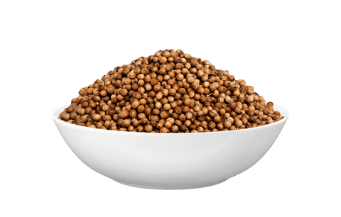 Koriander ganz BIO - bioKontor