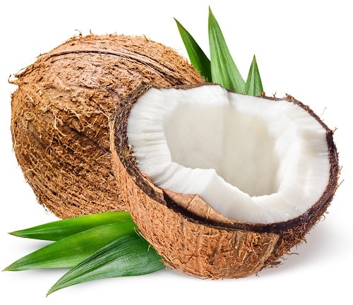 Bio Kokonuss für MCT C8 Kokosöl von native goods